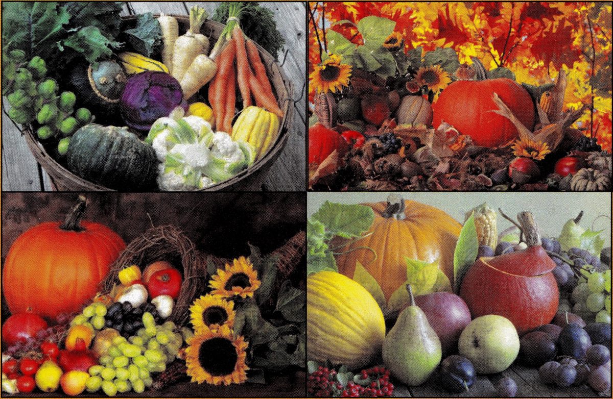 The best of AUTUMN on SHOW