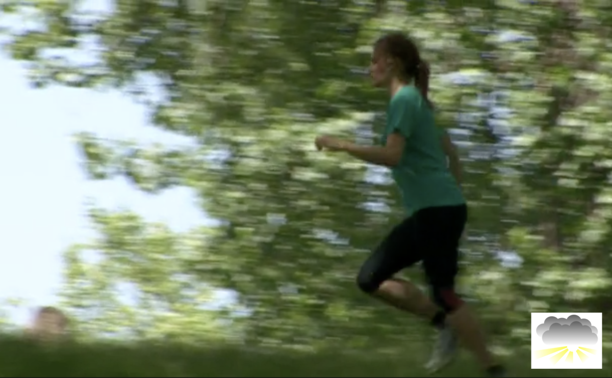 Couched in steps that anyone can follow. Fitness for the not very fit.