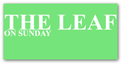 THE LEAF on Sunday