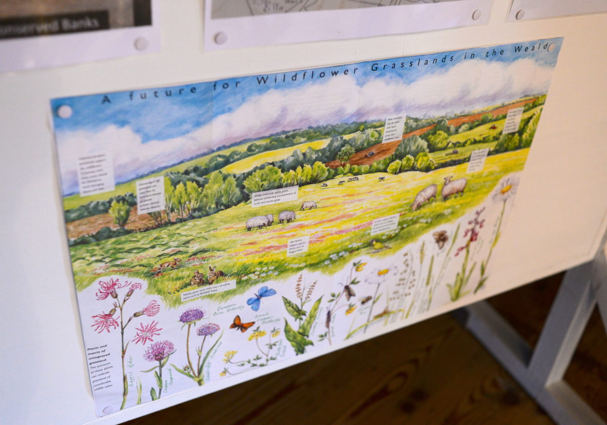 BIODIVERSITY EXHIBITION – Book your slot