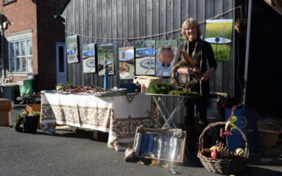 BLACK SHED POP-UP SHOP LAUNCHED IN RUSHLAKE GREEN