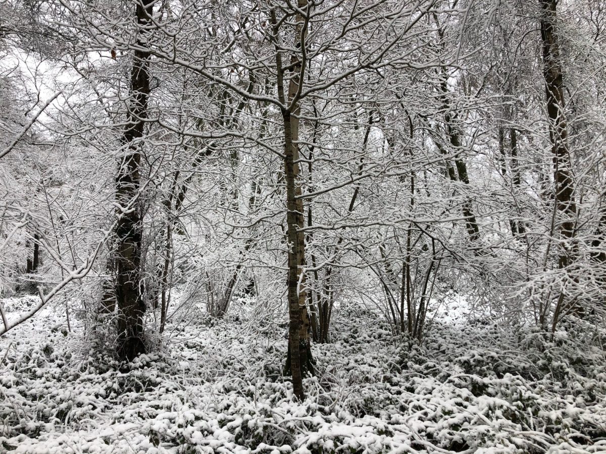 FOCUS ON GETTING OUT MORE