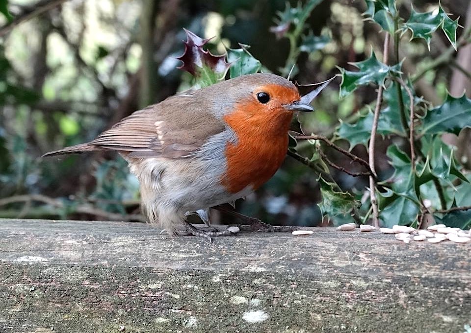 GIVE US YOUR ‘BEST LOCAL SHOTS’