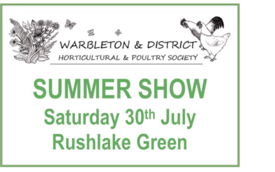 SUMMER SHOW – IT’S BACK