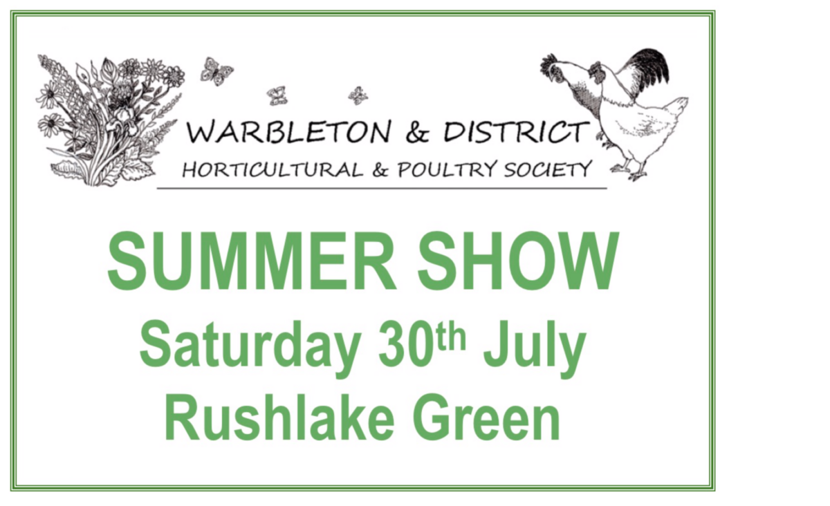 SUMMER SHOW – IT’S BACK