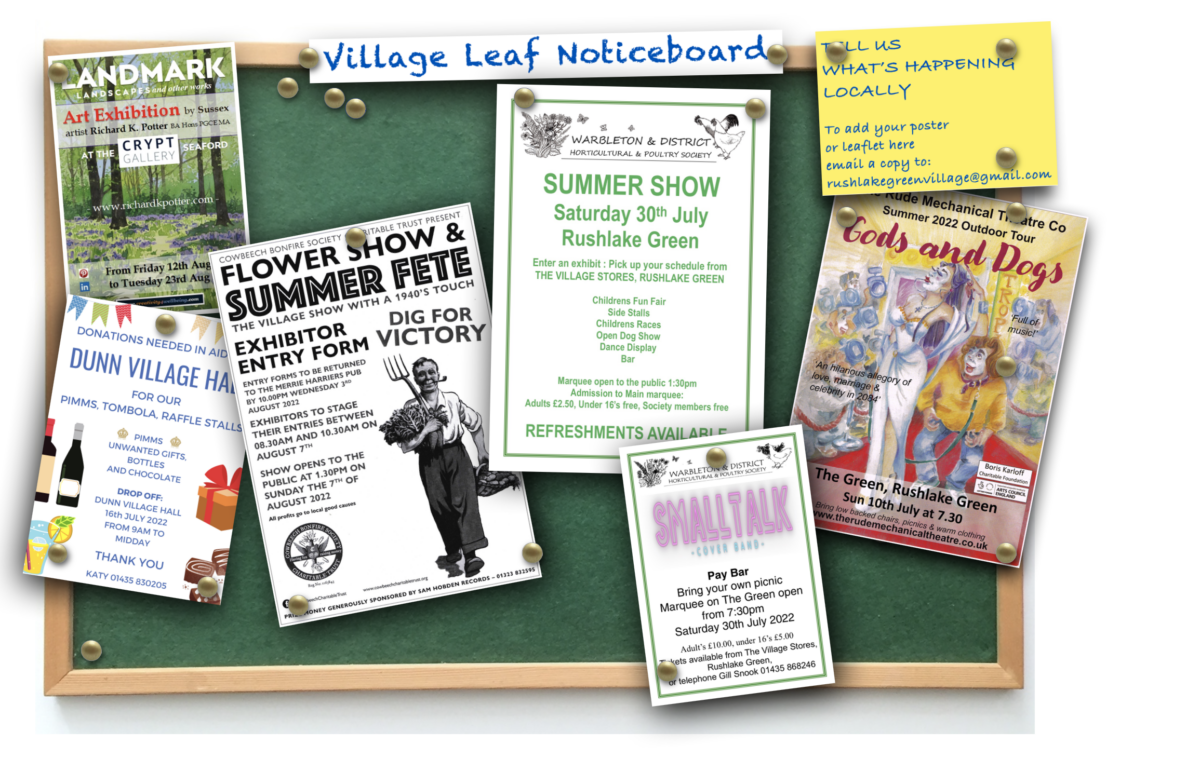 WHAT’S COMING UP AND WHAT’S GOING DOWN.