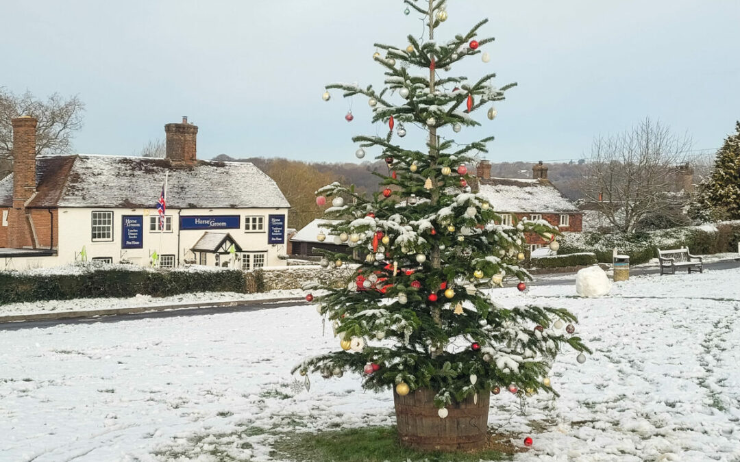 WELL DONE THE VILLAGE GREEN CHRISTMAS TREE GANG – PERFECT TIMING.