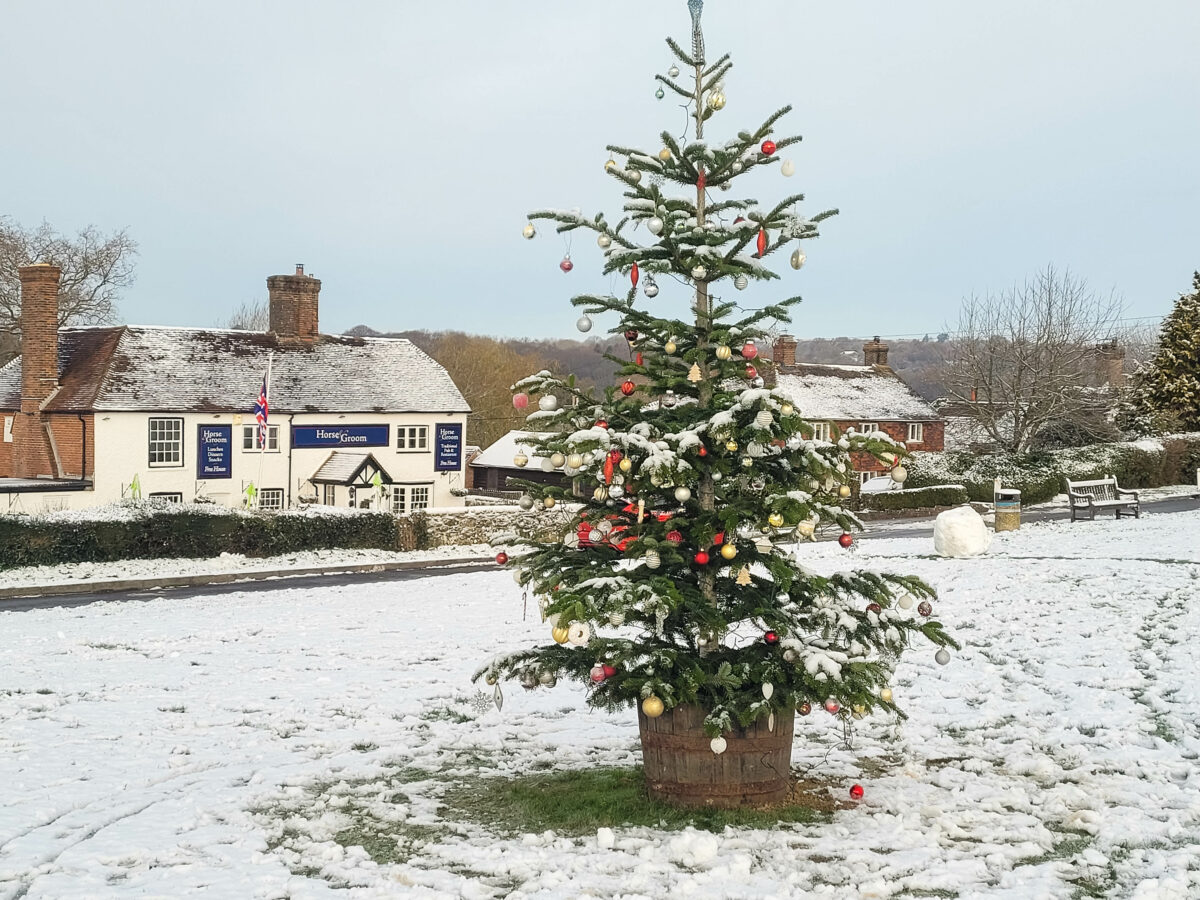 WELL DONE THE VILLAGE GREEN CHRISTMAS TREE GANG – PERFECT TIMING.