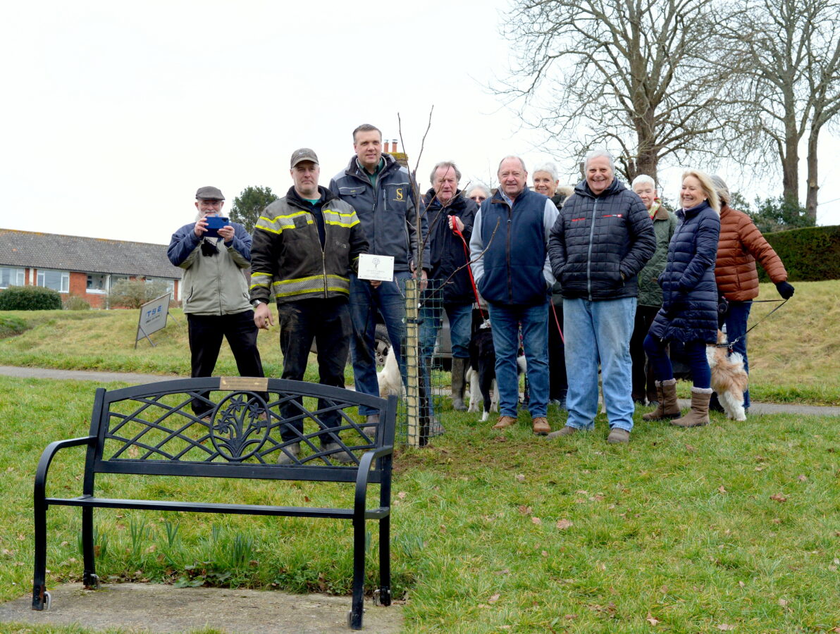 WARBLETON’S ‘QUEENS CANOPY’ WALNUT TREE