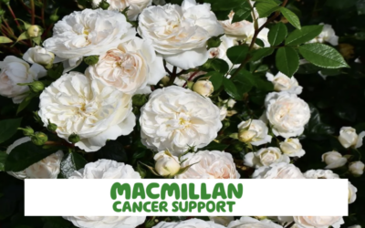 MACMILLAN CANCER SUPPORT FUND-RAISING COFFEE MORNING Friday 29th September 10 am to 12 noon The Old Barn Rushlake Green TN21 9QD