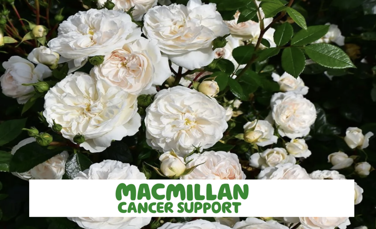 MACMILLAN CANCER SUPPORT FUND-RAISING COFFEE MORNING Friday 29th September 10 am to 12 noon The Old Barn Rushlake Green TN21 9QD